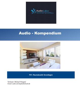 publikation raumakustik in theorie und praxis